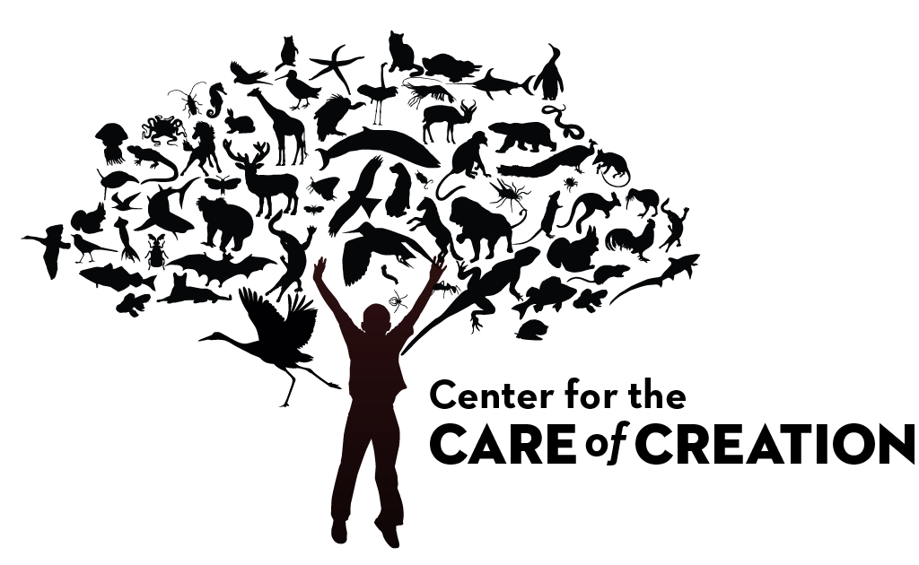 Care of Creation Workshops