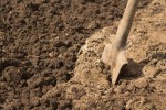 Reflections on a Soil Motif