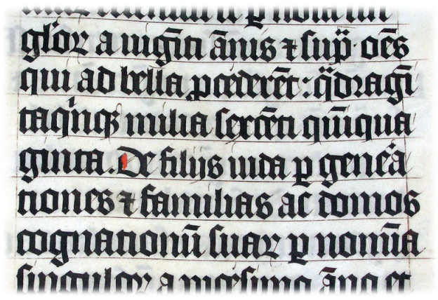 Bible Translations and the Christmas Story