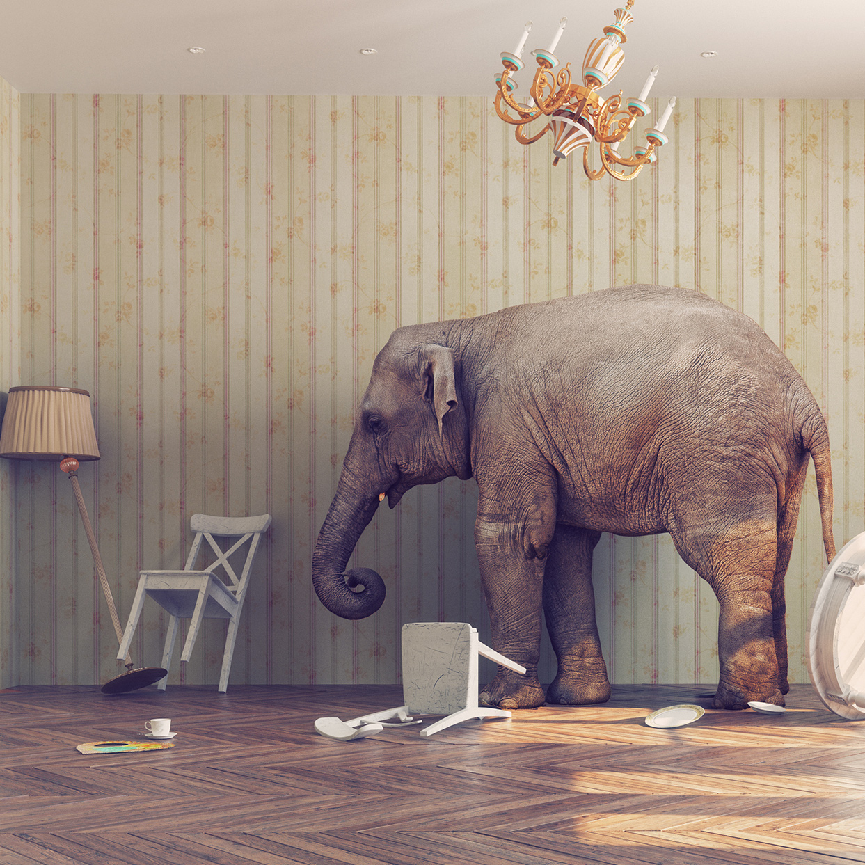 Six Elephants in the Room