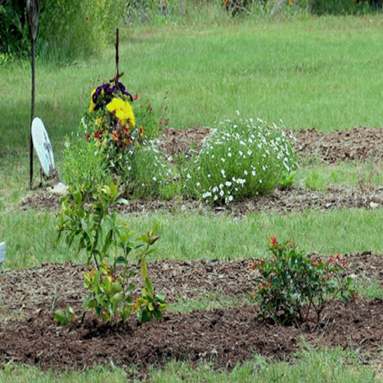Your Burial: A Spectrum of Possibilities