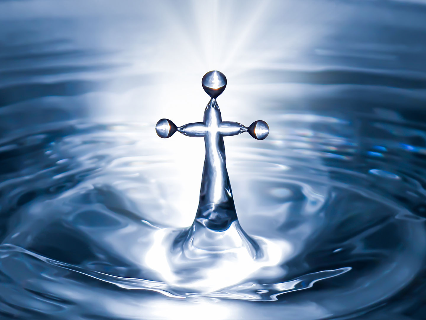 Lutheran Theology: Kill Your Passions