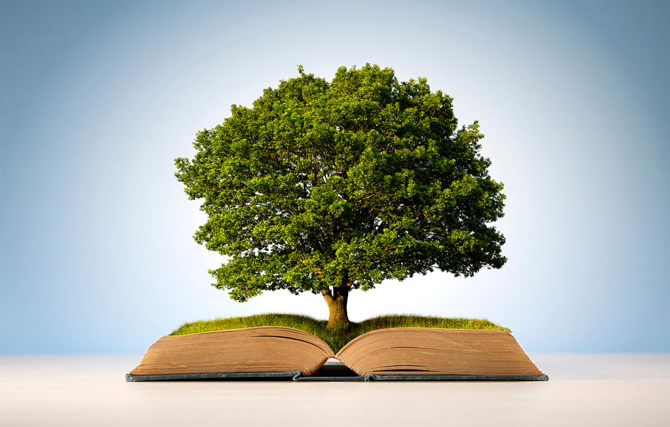 Rooted in Christ and His Word